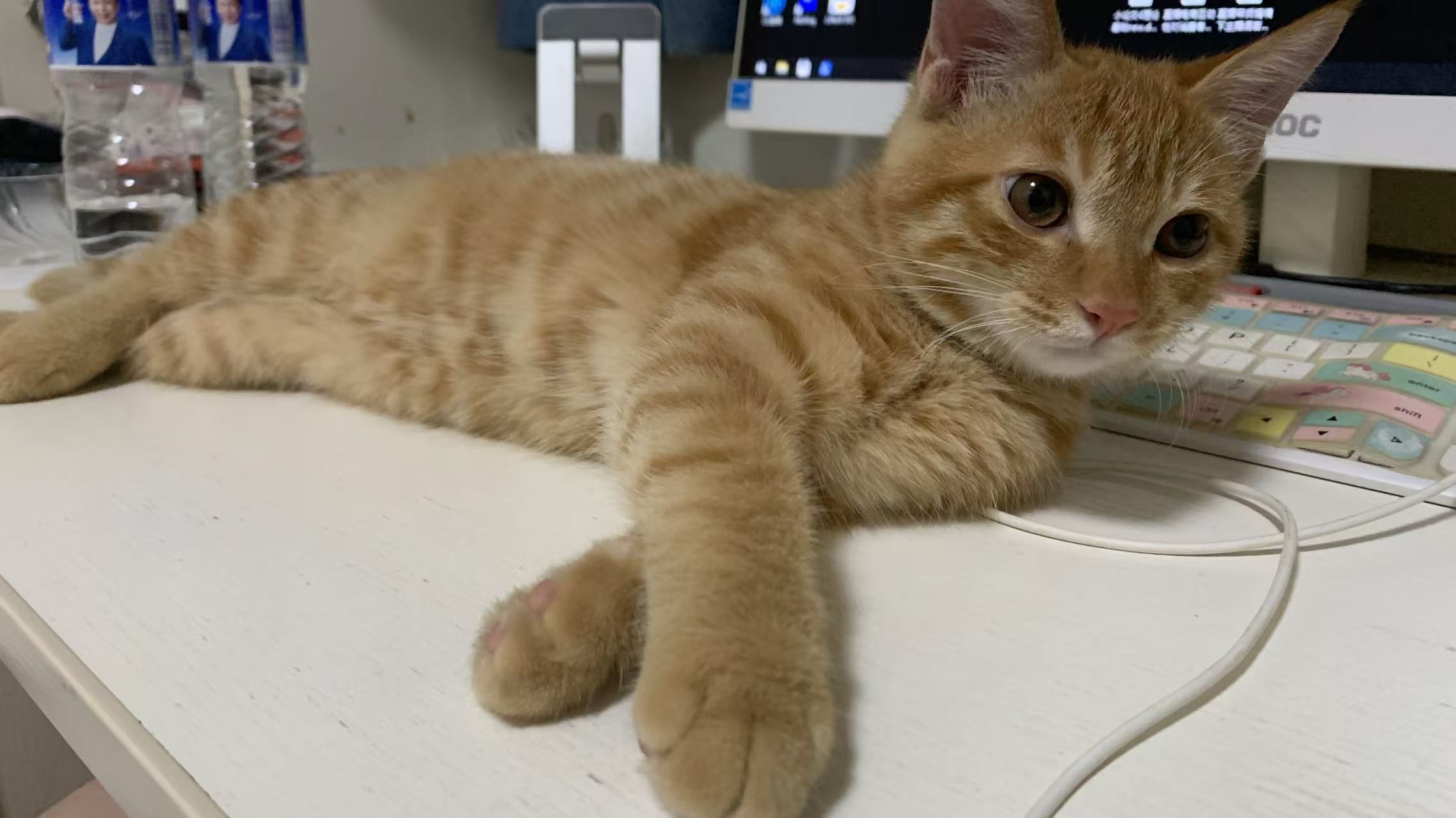 微服务监控平台